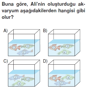 Günessistemiveveötesikonutesti1008