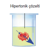 Hipertonik_cozelti