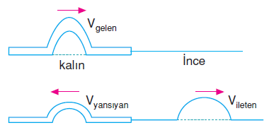 Kalin_yaydan_ince_yaya_gecis