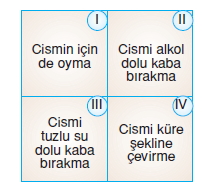 Kuvvetvehareketkonutesti2008