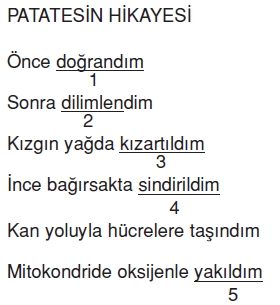 Maddenintanecikliyapısıkonutesti3004