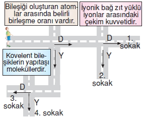 Maddeninyapisiveözelliklerikonutesti3005