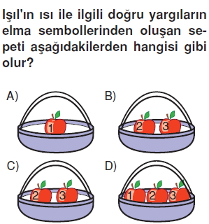 Maddeveisikonutesti1007