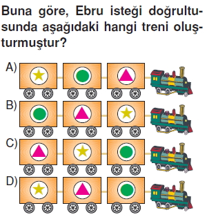 Maddeveisikonutesti3002