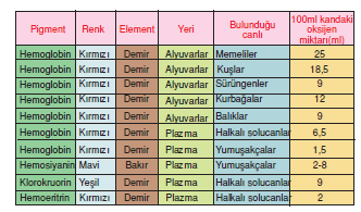 Oksijen_ve_Karbondioksitin_Tasinmasi