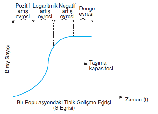 Populasyon_buyume_tipleri