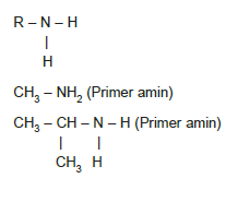 Primer_Amin