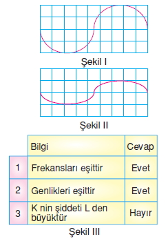 Seskonutesti2003