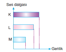 Seskonutesti2006