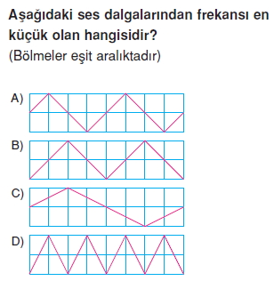 Seskonutesti2009