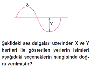 Seskonutesti3011