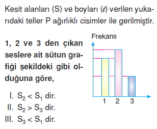 Seskonutesti5005