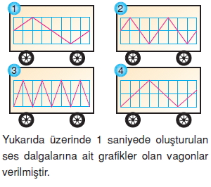 Seskonutesti5007