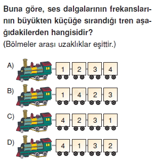 Seskonutesti5008