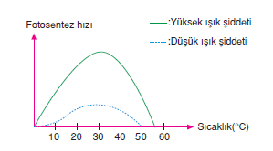 Sicaklik_ve_isik_siddeti