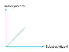 Substrat_Yuzeyi
