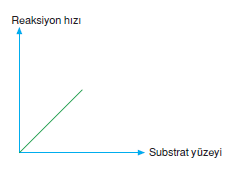 enzimlerin ozellikleri bilgicik com bilgicik com
