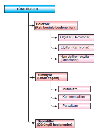 Tüketiciler