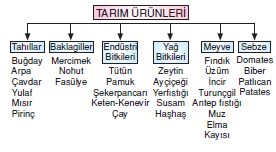 Tarim_urunleri