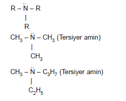 Tersiyer_Amin