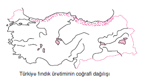 Turkiye_findik_uretiminin_cografi_dagilisi