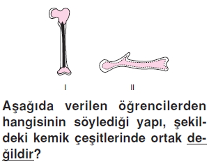 Vücüdümüzdakisistemlercözümlütest1001