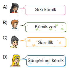 Vücüdümüzdakisistemlercözümlütest1002