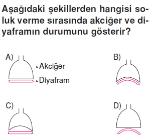 Vücüdümüzdakisistemlercözümlütest1003