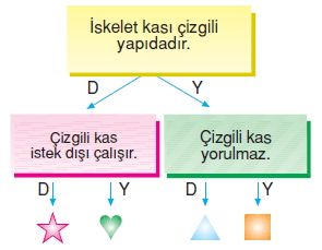 Vücüdümüzdakisistemlercözümlütest1004