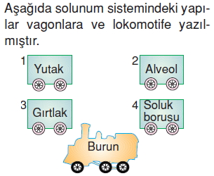 Vücüdümüzdakisistemlercözümlütest1007