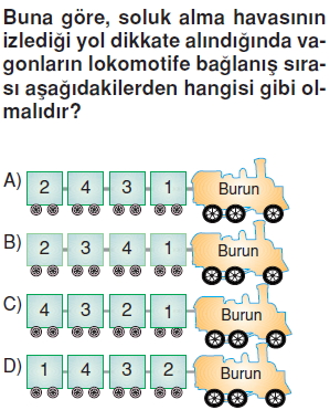 Vücüdümüzdakisistemlercözümlütest1008