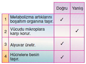 Vücüdümüzdakisistemlercözümlütest1012