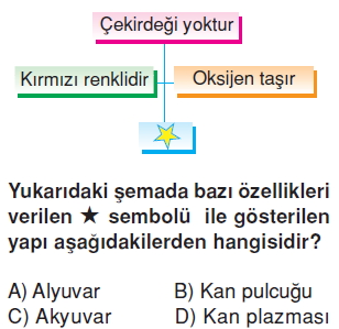 Vücüdümüzdakisistemlerkonutesti3006