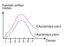 Vücüdümüzdakisistemlerkonutesti4001