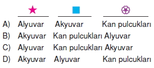 Vücüdümüzdakisistemlerkonutesti4006