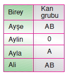 Vücüdümüzdakisistemlerkonutesti4010