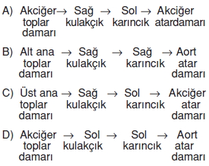 Vücüdümüzdakisistemlerkonutesti5002