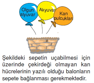 Vücüdümüzdakisistemlerkonutesti5003