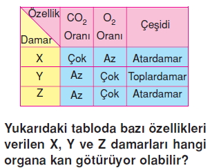 Vücüdümüzdakisistemlerkonutesti5005