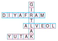 Vücüdümüzdakisistemlerkonutesti6001