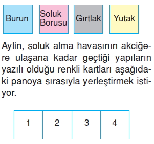 Vücüdümüzdakisistemlerkonutesti6004