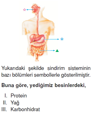 Vücüdümüzdasistemlercözümlütest1001