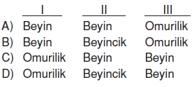 Vücüdümüzdasistemlercözümlütest1003