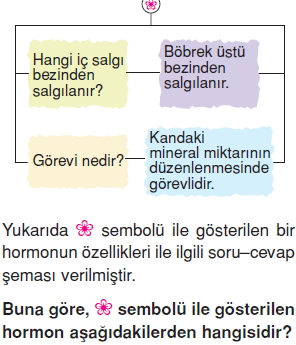 Vücüdümüzdasistemlercözümlütest1006