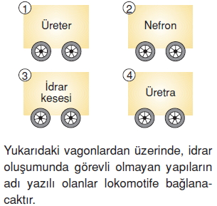 Vücüdümüzdasistemlercözümlütest1010