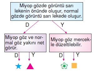 Vücüdümüzdasistemlercözümlütest1013