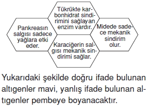 Vücüdümüzdasistemlercözümlütest1016