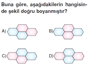 Vücüdümüzdasistemlercözümlütest1017