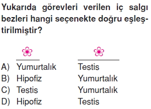 Vücüdümüzdasistemlercözümlütest1020