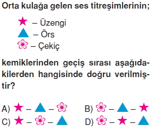 Vücüdümüzdasistemlerkonutesti10002